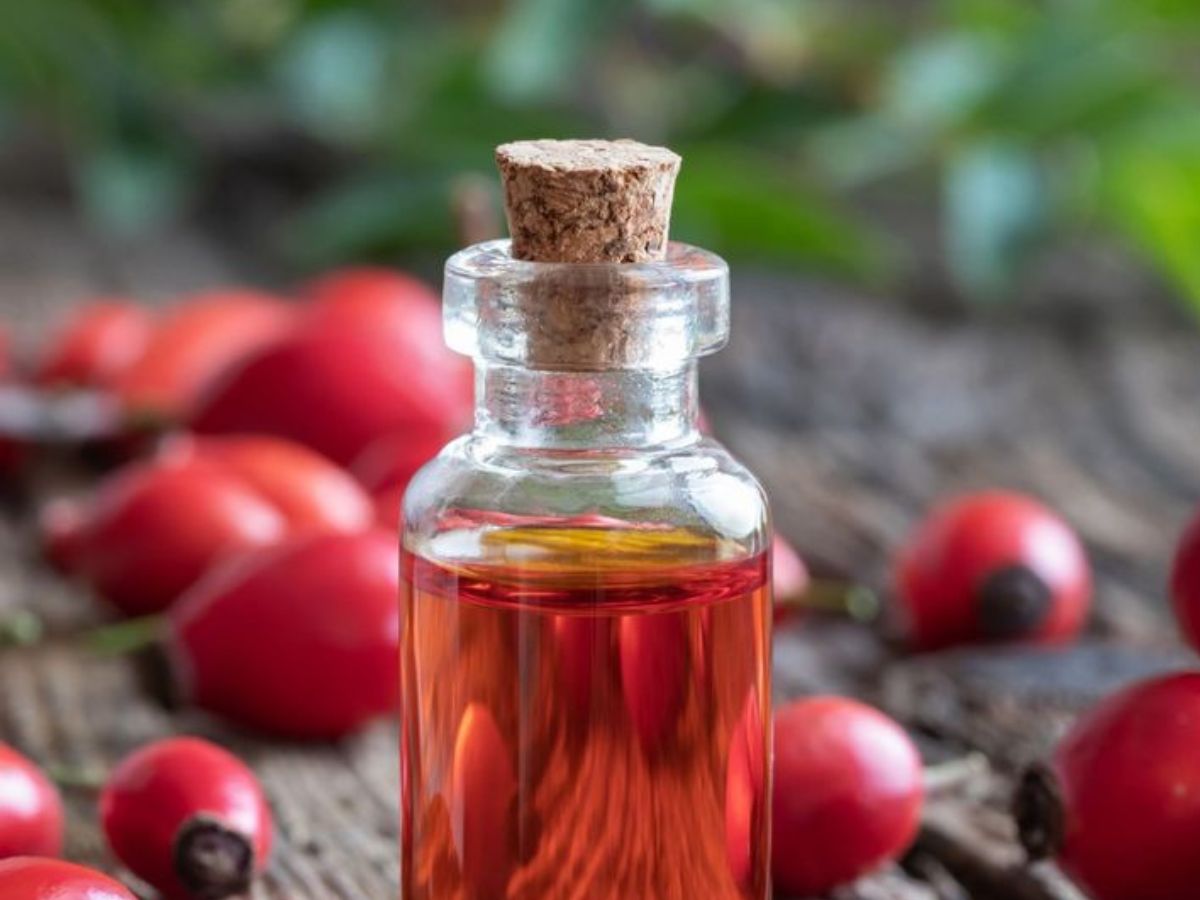 मुलायम और चमकदार त्वचा पाएं सर्दियों में, अपनाएं ये नेचुरल स्किनकेयर टिप्स - Photo Gallery