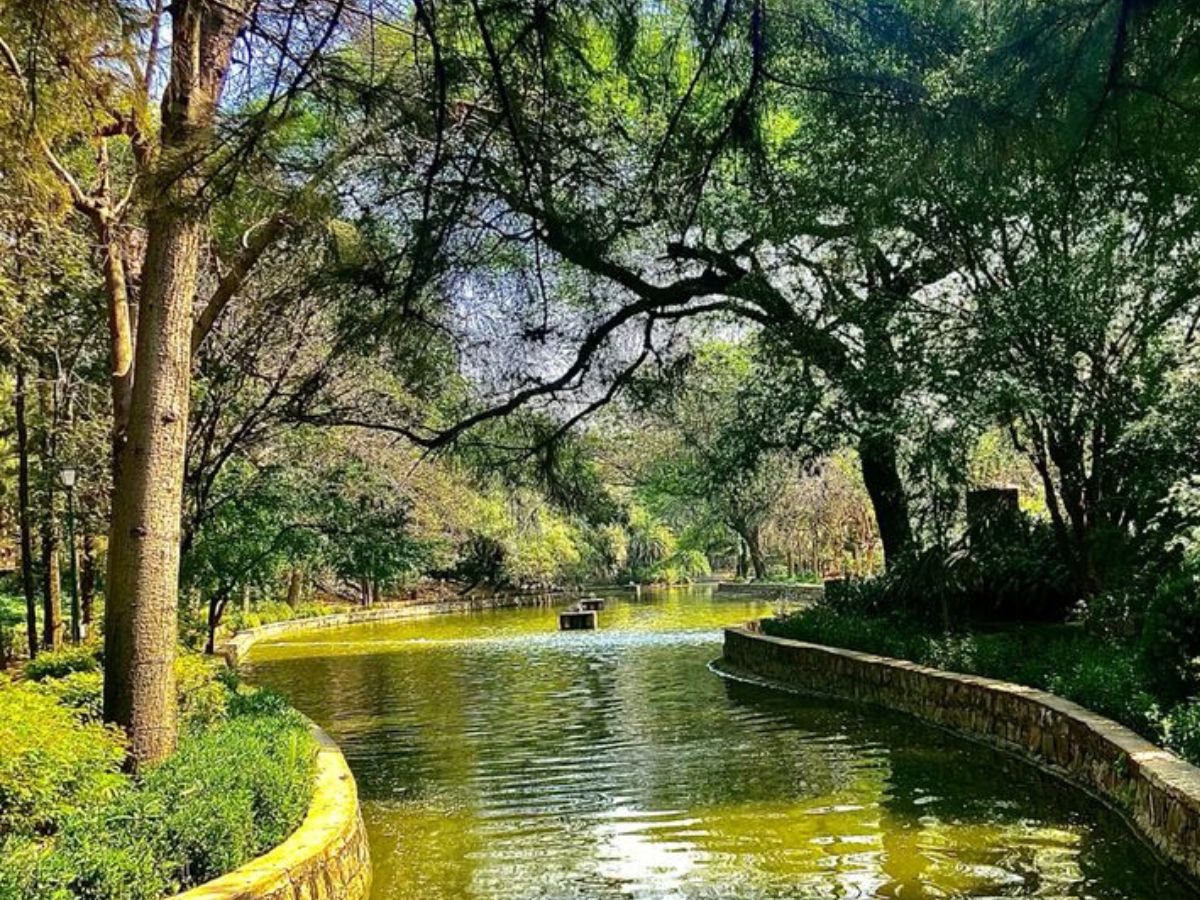 दिल्ली की खूबसूरत झीलें, जहां गर्लफ्रेंड के साथ एक बार तो जरूर घूमना चाहिए - Photo Gallery