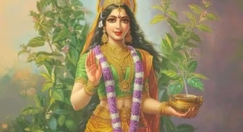 Tulsi Mata Ki Aarti : 2 नवंबर तुलसी विवाह के दिन जलाएं घी का दीपक, जरूर पढ़ें आरती