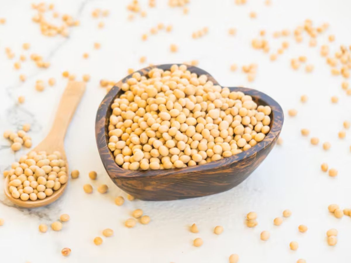 क्या सोयाबीन बना देगा नपुंसक? खाने से पहले जान लें सच - Photo Gallery