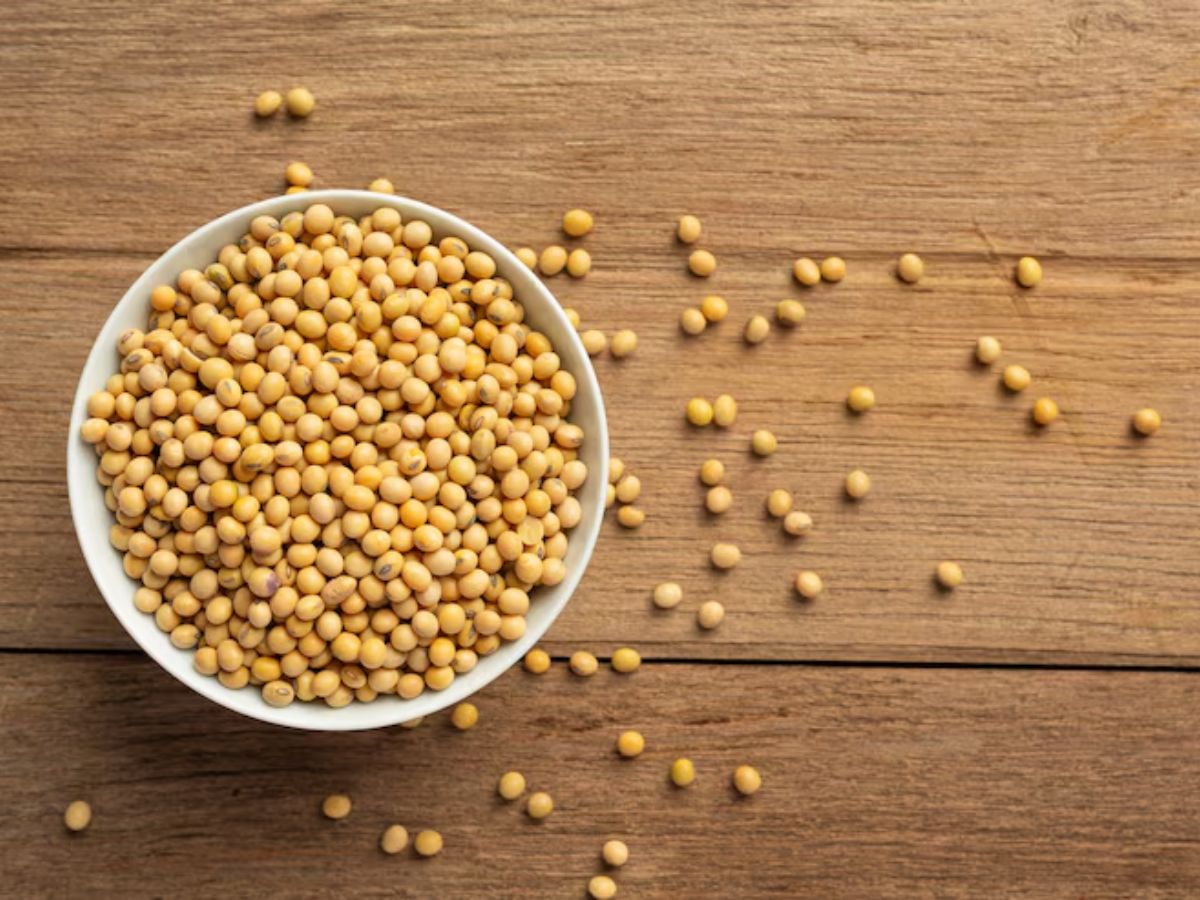 क्या सोयाबीन बना देगा नपुंसक? खाने से पहले जान लें सच - Photo Gallery