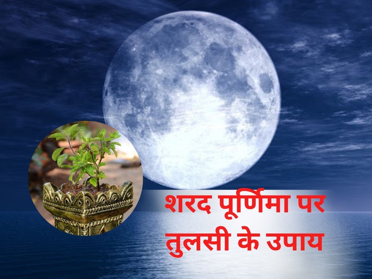 Sharad Purnima 2025: शरद पूर्णिमा पर तुलसी की पूजा के साथ करें ये उपाय, मां लक्ष्मी की बरसेगी कृपा - Photo Gallery
