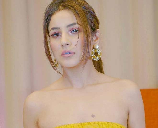 shehnaazgillfunnytwitterreplies1696405555