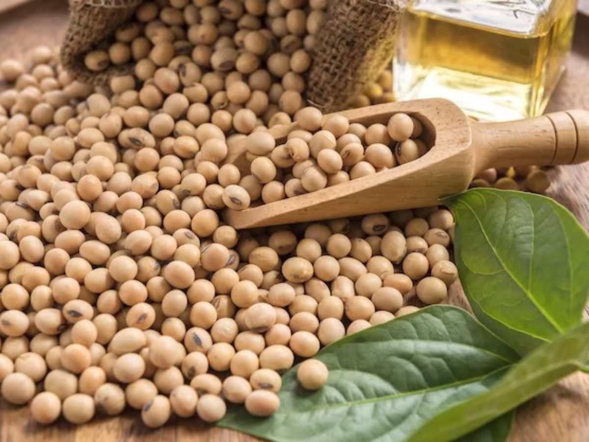 मर्दों की सेक्स लाइफ सत्यानाश कर सकती हैं खाने की ये चीजें! आज ही करें थाली से बाहर - Photo Gallery