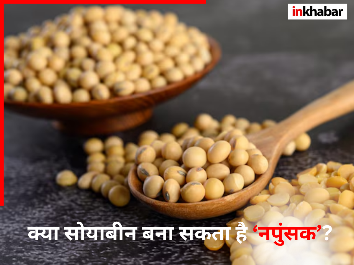 क्या सोयाबीन बना देगा नपुंसक? खाने से पहले जान लें सच - Photo Gallery