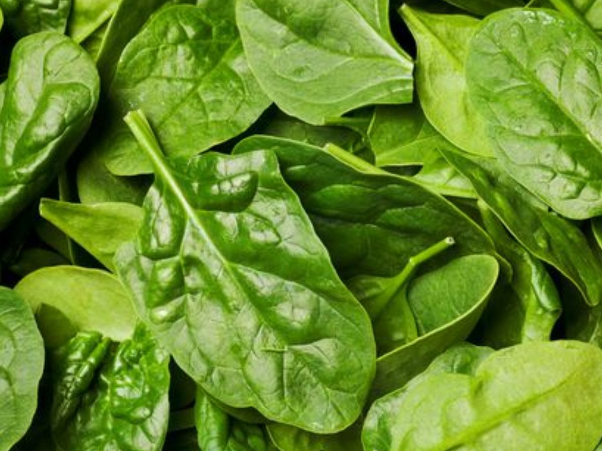 सप्लीमेंट्स पर पैसे मत उड़ाओ! ये 8 फूड्स हैं असली मैग्नीशियम पॉवरहाउस - Photo Gallery