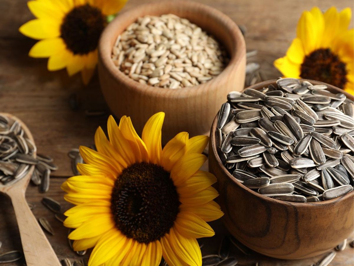 सप्लीमेंट्स पर पैसे मत उड़ाओ! ये 8 फूड्स हैं असली मैग्नीशियम पॉवरहाउस - Photo Gallery