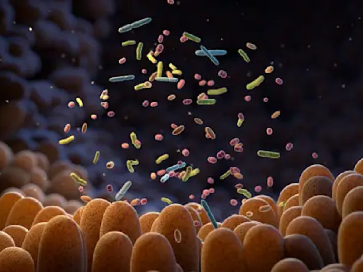 Possibility of bacterial growth in wet - Photo Gallery