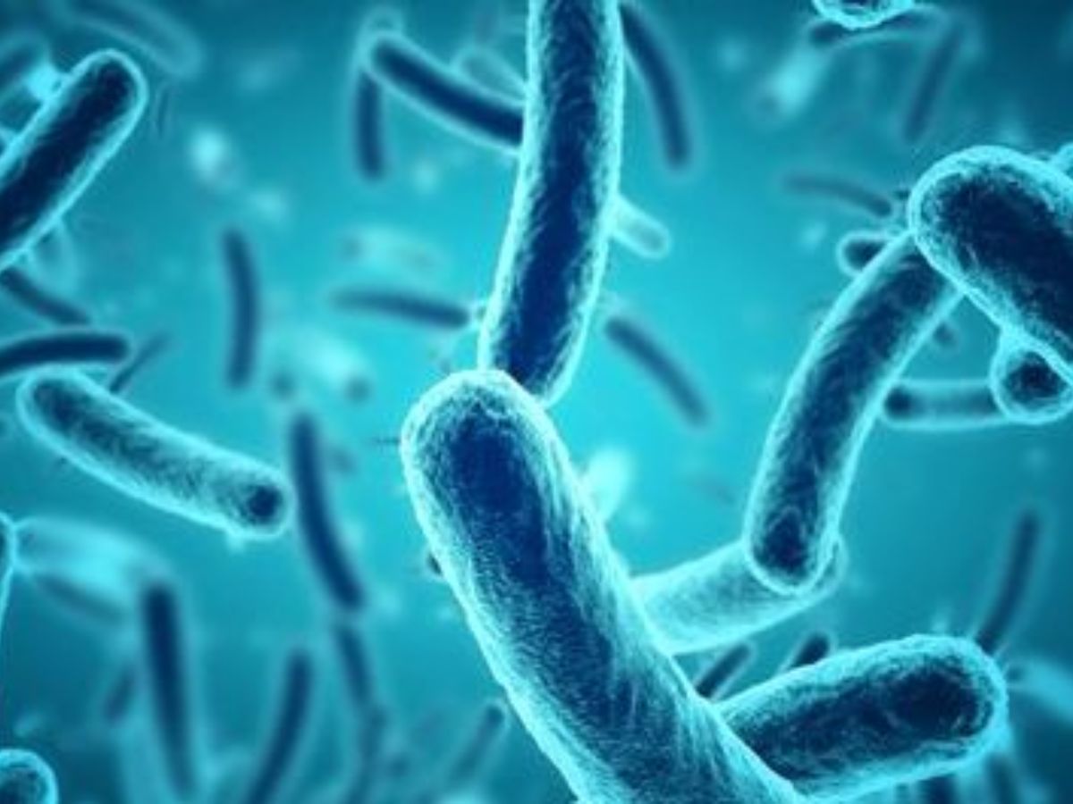 How to clean bacteria with a rolling pin - Photo Gallery