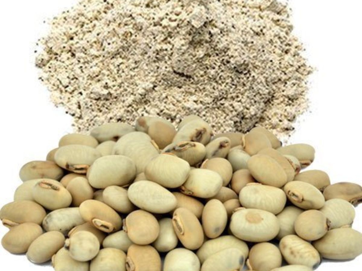 मुगलों की मर्दाना ताकत का राज़ है ये चीजें, एक बार खाकर पूरे दिन रहेंगे चीते जैसे फुर्तीले! - Photo Gallery