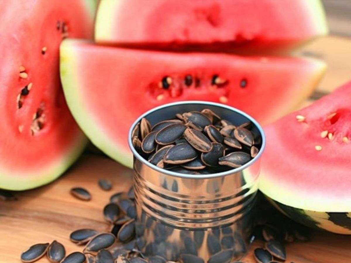 50 की उम्र के बाद भूलकर भी न खाएं ये बीज, वरना बिगड़ सकती है सेहत - Photo Gallery