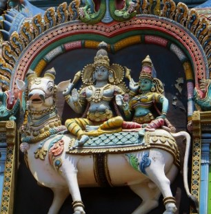 Temple museum becomes the center of attraction - Photo Gallery