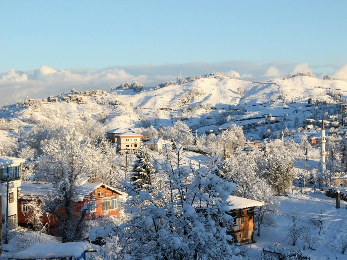 ये है भारत का सबसे ठंडा गांव, –40°C तक गिर जाता है पारा! यहां जानें सारी डिटेल्स - Photo Gallery