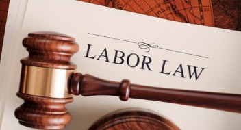 The law was notified - Photo Gallery