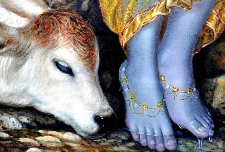 Lord Krishna's feet did not touch the ground - Photo Gallery