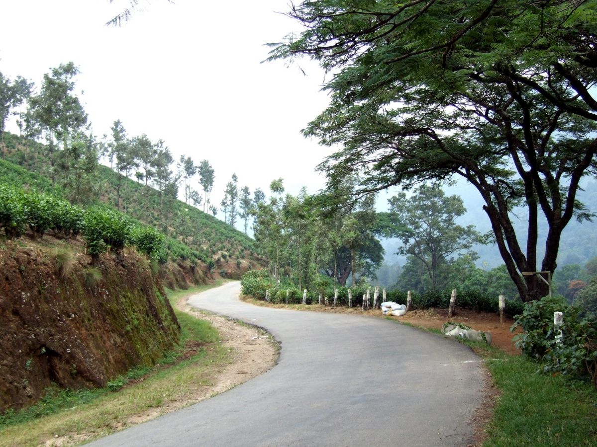 दक्षिण भारत का एकमात्र गांव, जहां पर होती है बर्फबारी; पर्यटकों के लिए है जन्नत! - Photo Gallery