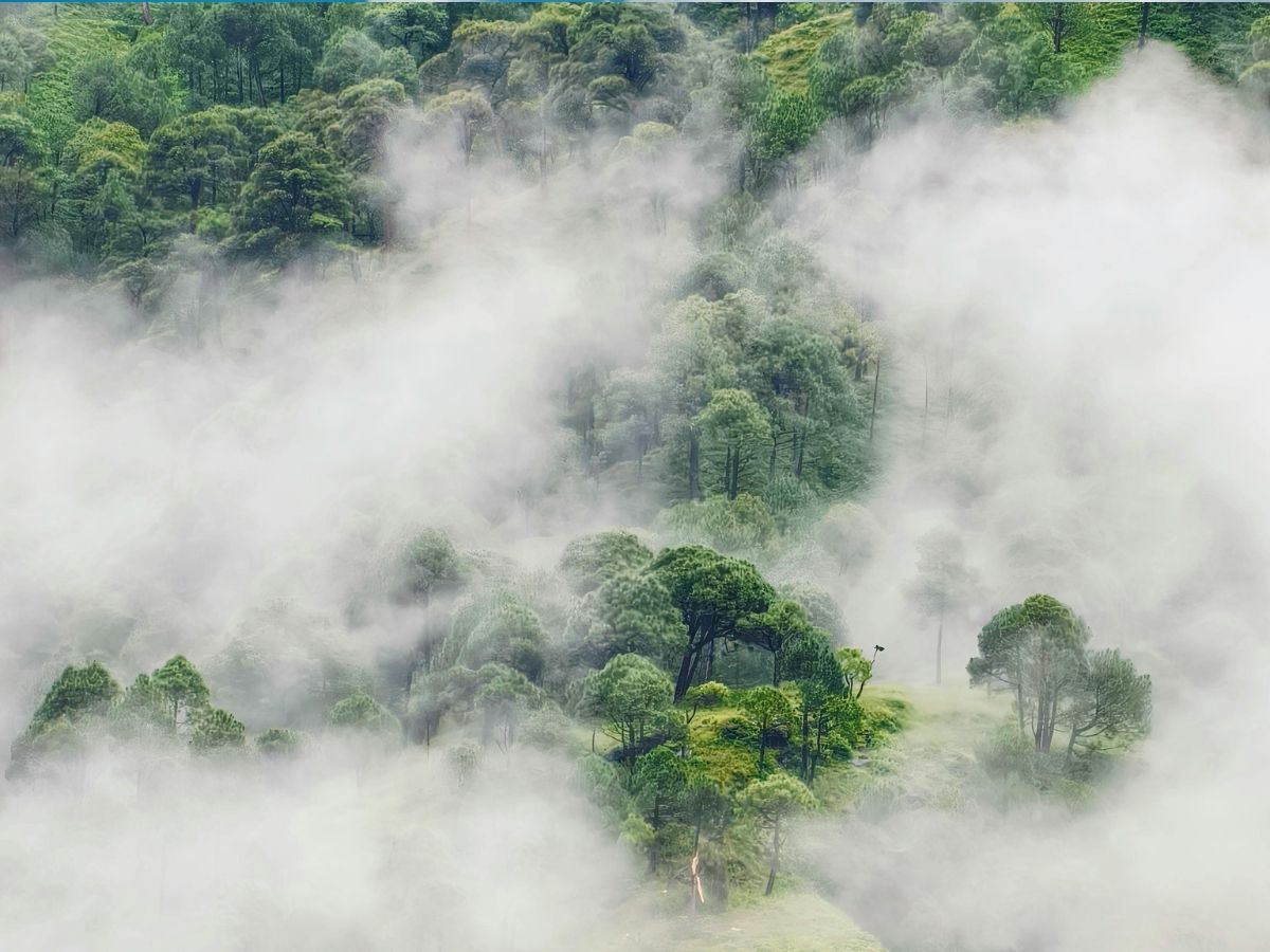 दक्षिण भारत का एकमात्र गांव, जहां पर होती है बर्फबारी; पर्यटकों के लिए है जन्नत! - Photo Gallery