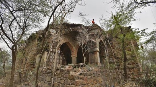 Malcha Mahal: The mystery of the Begum's suicide - Photo Gallery