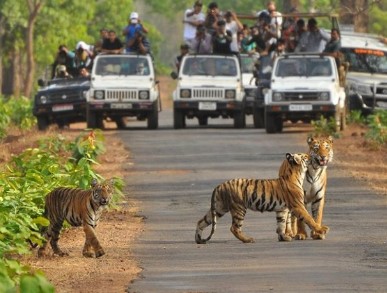 Category of nature lovers - Photo Gallery