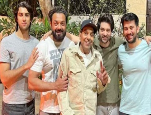 Sons (grandsons) of Sunny and Bobby - Photo Gallery