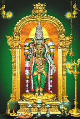 Dedication is in the name of Goddess Meenakshi - Photo Gallery