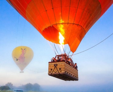 What is the purpose after all? - Photo Gallery