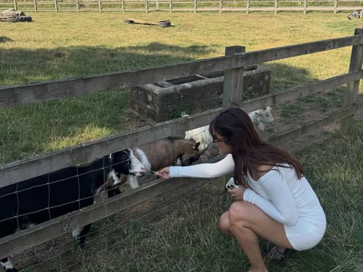 avneet kaur - Photo Gallery