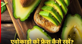 How To Keep Avocado Fresh: AVOCADO को लंबे समय तक फ्रेश कैसे रखें, जानें स्पिंल टिप्स