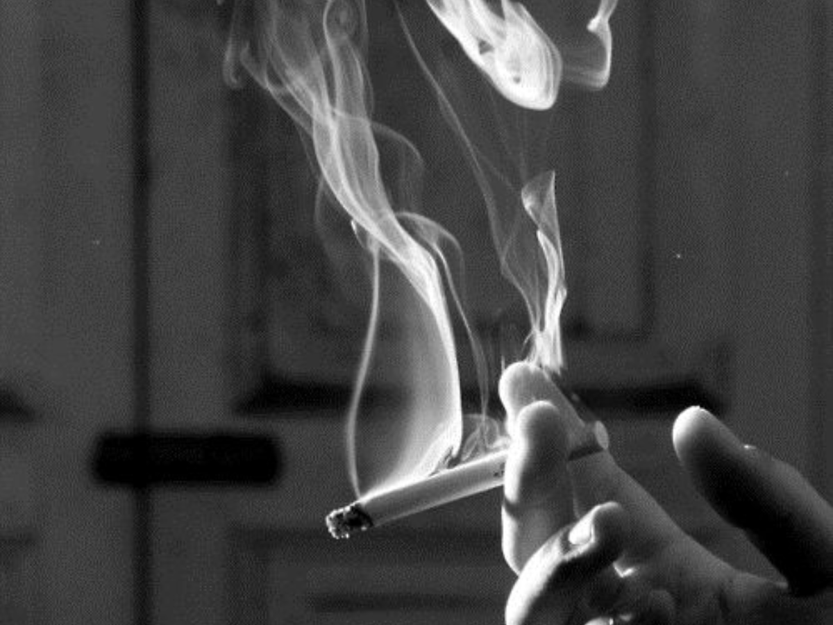 ciggarette - Photo Gallery