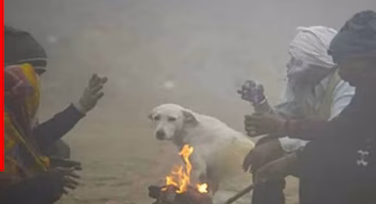 Delhi Weather: दिल्ली में ठंडी हवाओं का दौर शुरू, कोहरे का भी कहर, अगले 1 हफ्ते तक कैसा रहेगा मौसम?