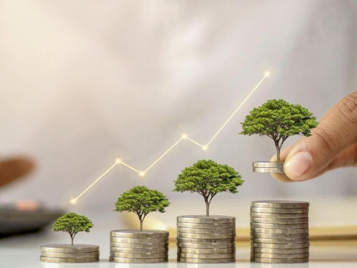 DA HIKE - Photo Gallery