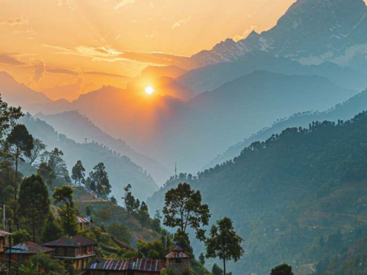 darjelling beauty - Photo Gallery