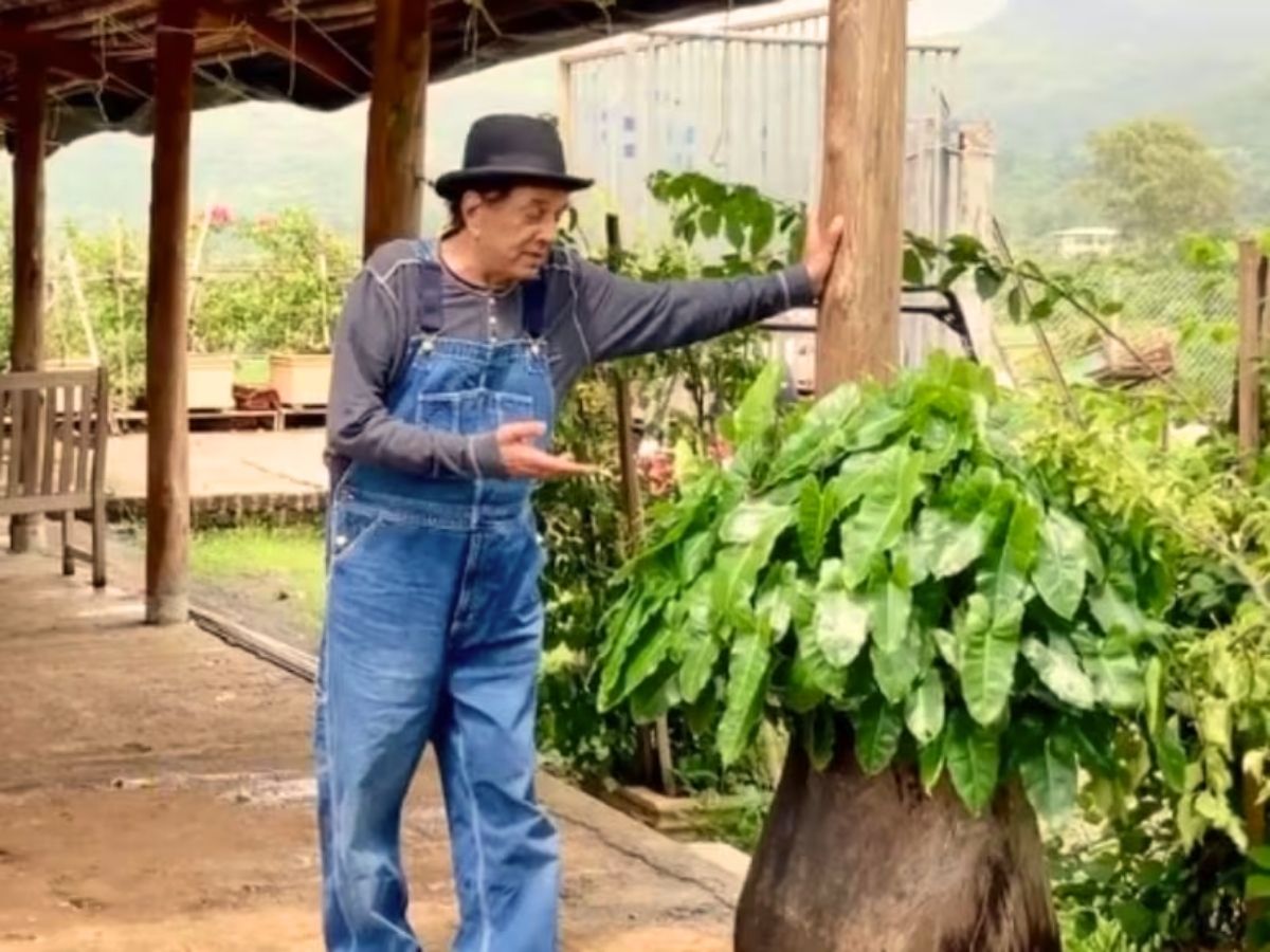 मुंबई नहीं, 100 एकड़ में बने इस शानदार फार्म हाउस में रहते हैं धर्मेंद्र! तस्वीरें देख खुली रह जाएंगी आंखें - Photo Gallery