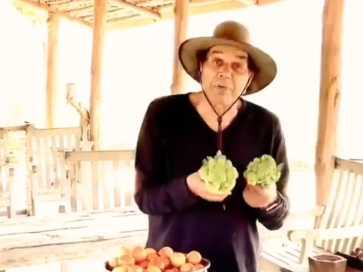 मुंबई नहीं, 100 एकड़ में बने इस शानदार फार्म हाउस में रहते हैं धर्मेंद्र! तस्वीरें देख खुली रह जाएंगी आंखें - Photo Gallery