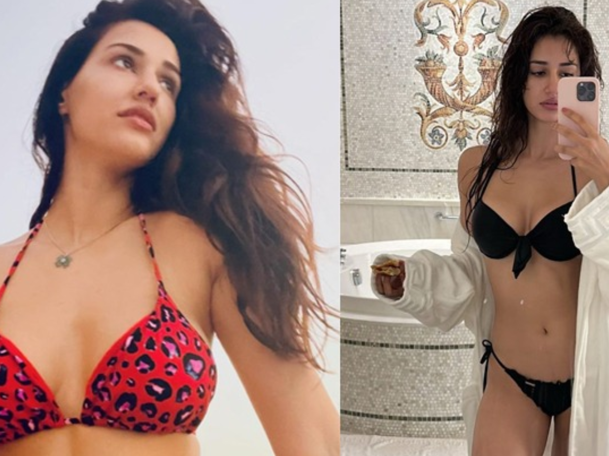 बॉलीवुड की बिकिनी बेब Disha Patani, इनके हुस्न के दीदार से फैंस के दिलों पर नहीं रहता काबू - Photo Gallery