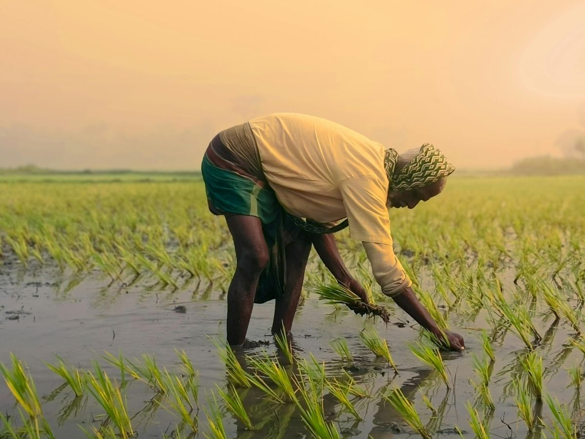 farmers good news - Photo Gallery