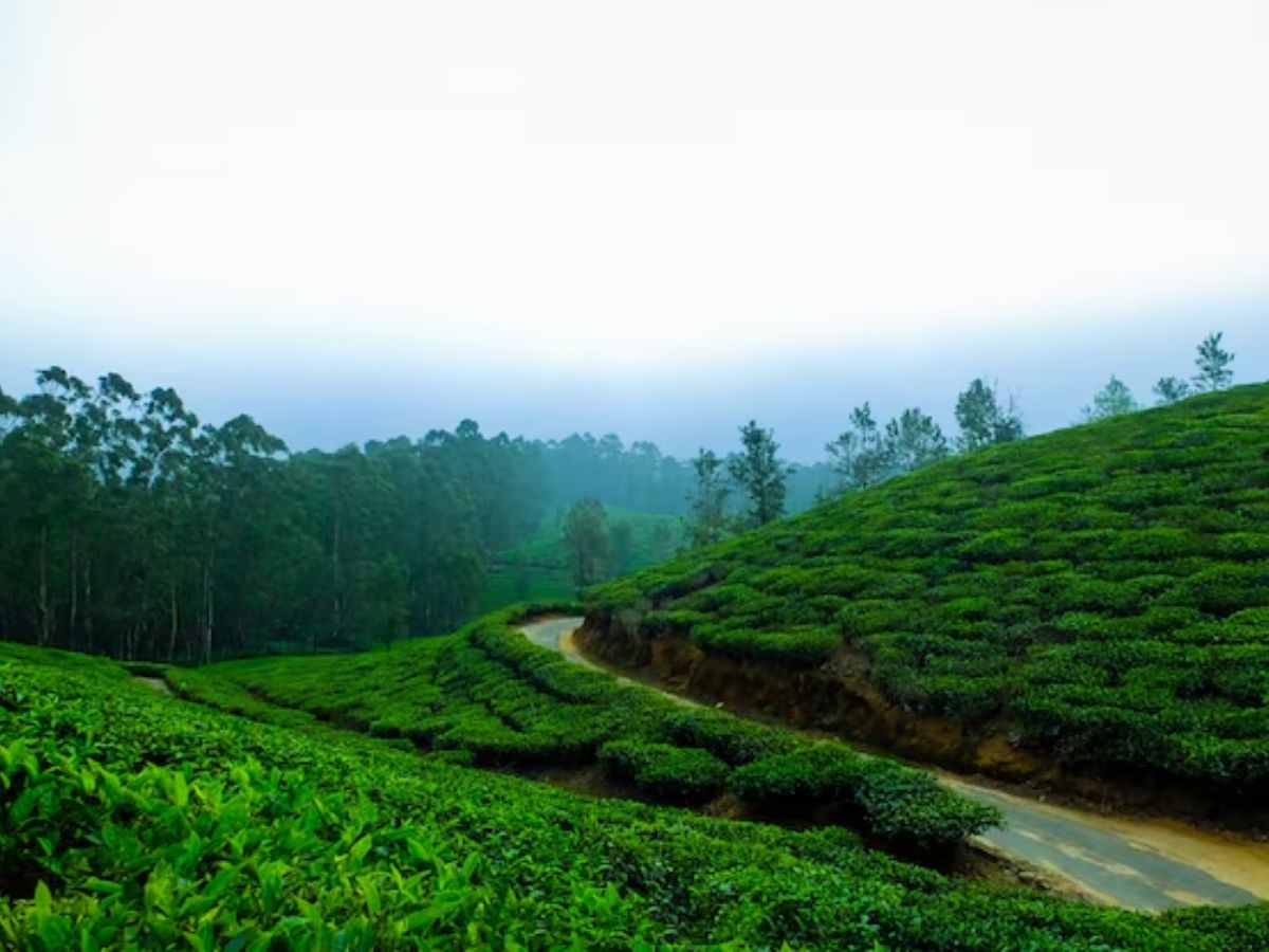 honemoon destination 4 - Photo Gallery