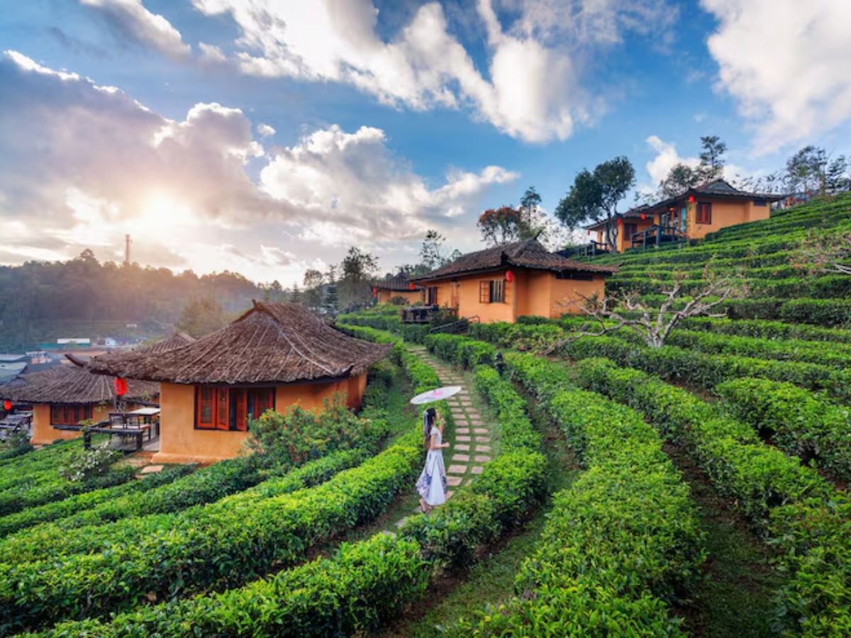 honemoon destination 6 - Photo Gallery