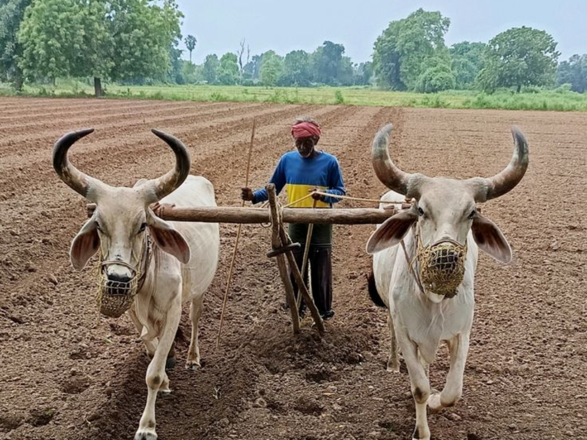 kisan yojna 2025 - Photo Gallery