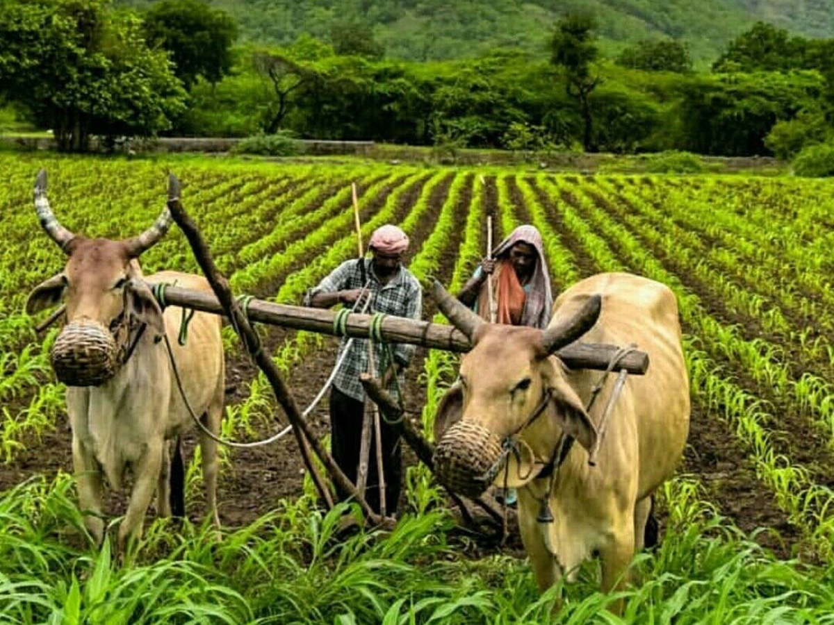 kisan yojna 2025 - Photo Gallery