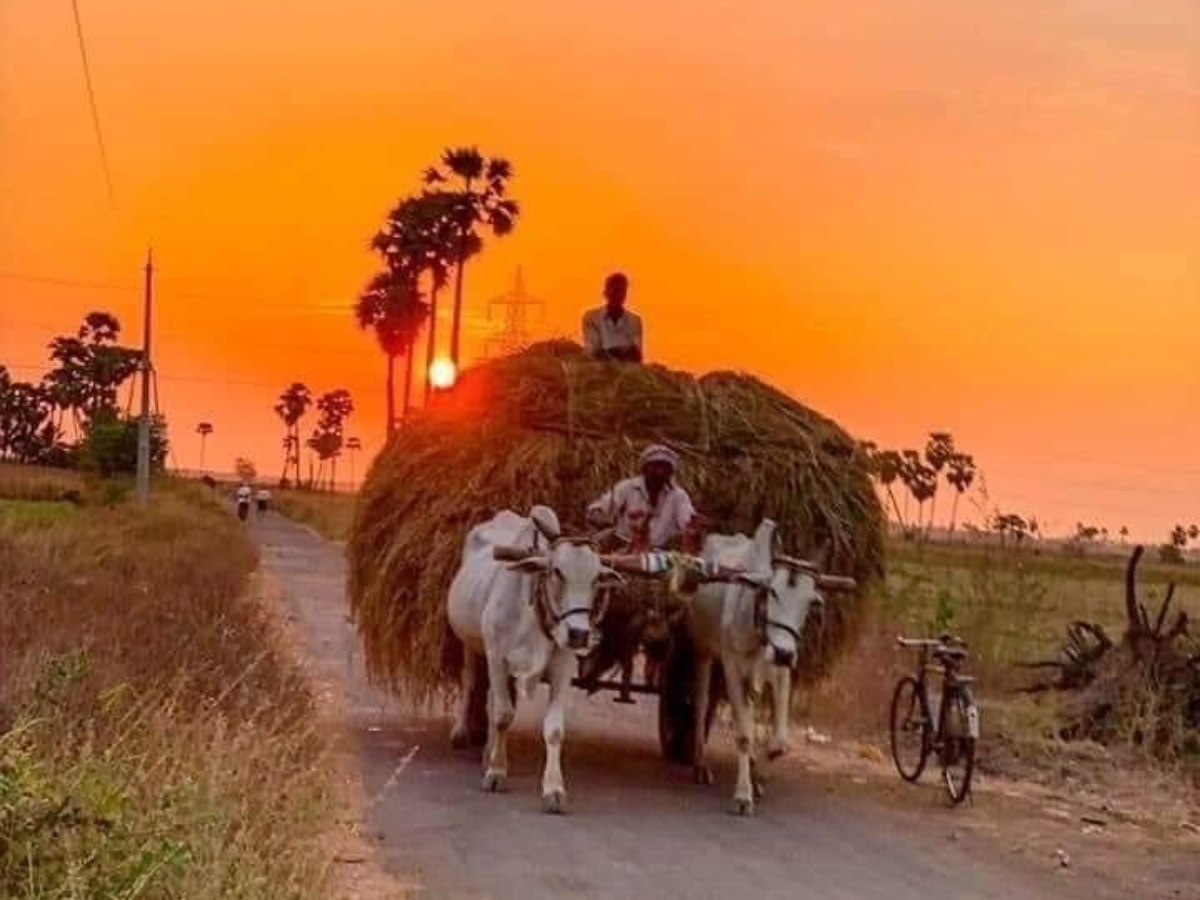 kisan yojna ka labh - Photo Gallery