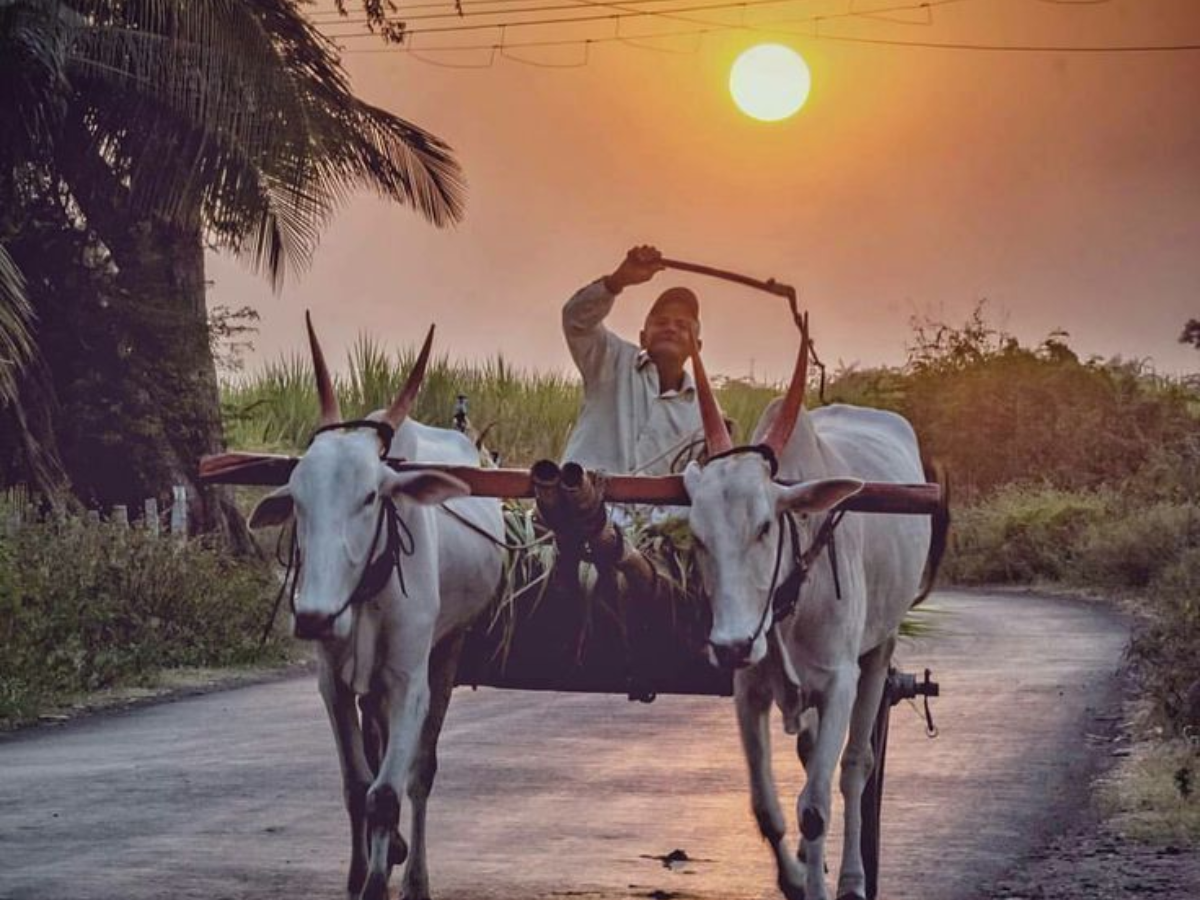 kisan yojna ka mehtav - Photo Gallery