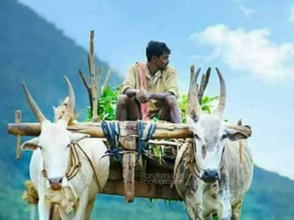 kisan yojna zaroori kyu hai - Photo Gallery