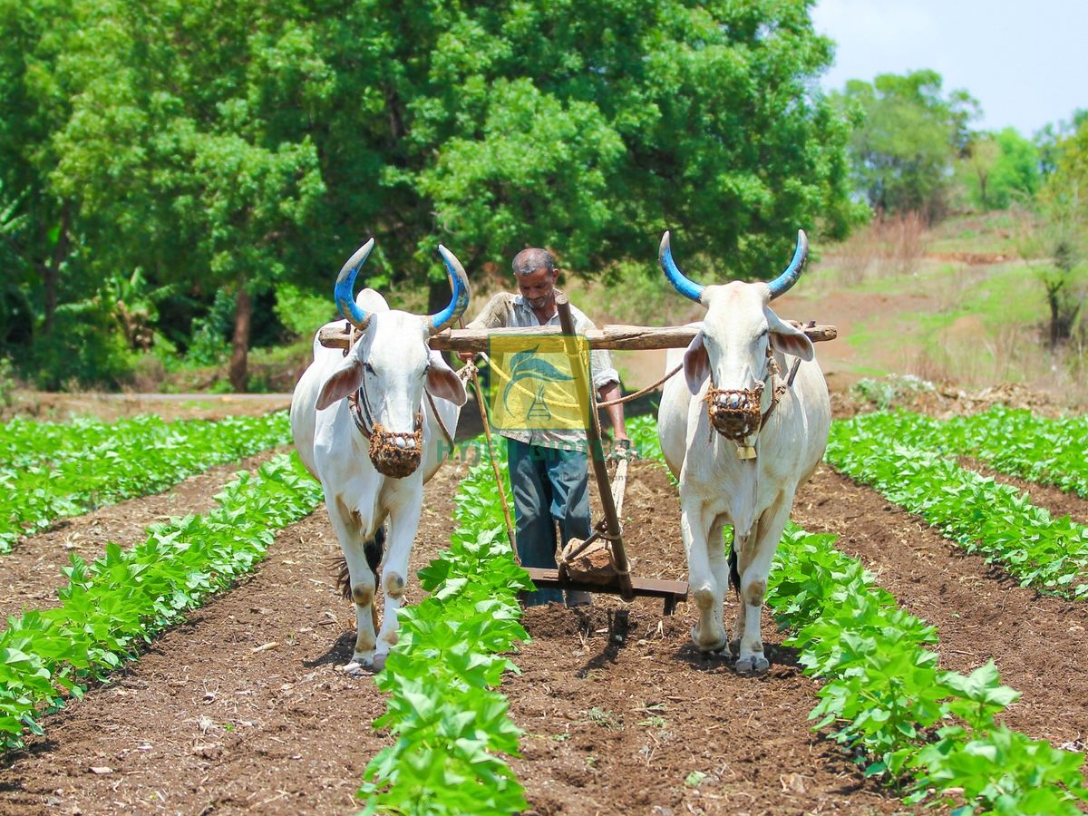 kisan yojna zaroori kyu - Photo Gallery