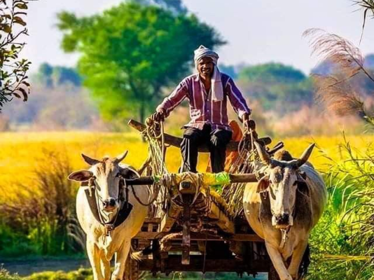 kisan yojna zaroori - Photo Gallery