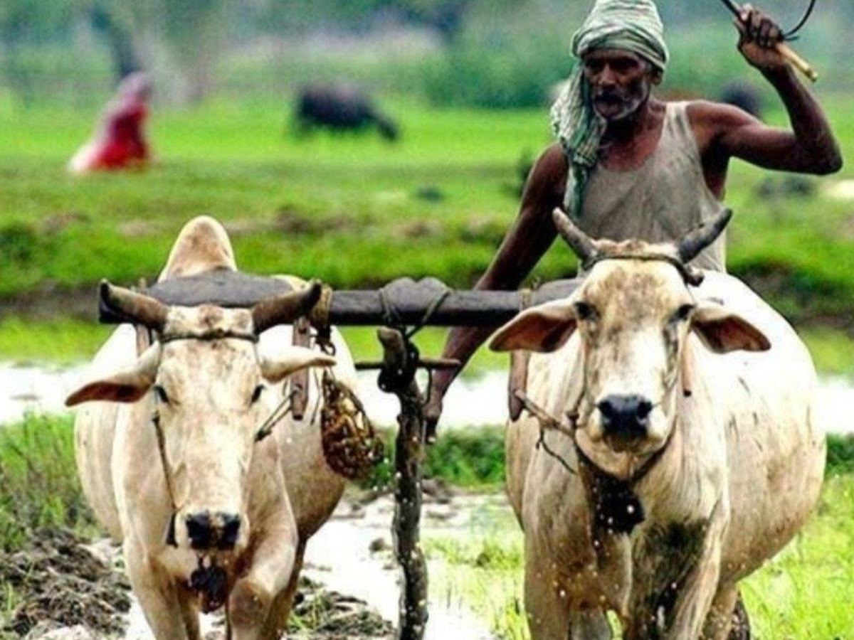 kisan - Photo Gallery