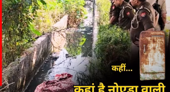 क्या फ्रिज में रखा है लड़की का सिर? शातिर कातिल ने नोएडा के नाले में फेंका धड़ तो कहां गए बाकी अंग, सामने आया नया अपडेट