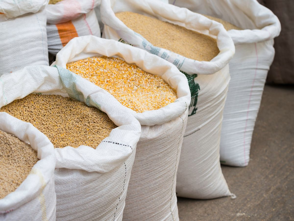 ration cards updates imp - Photo Gallery