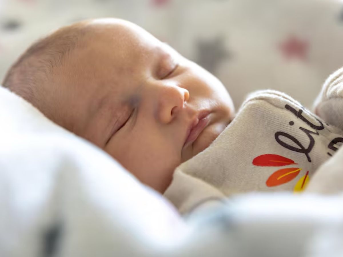 sleep cycle 3 - Photo Gallery