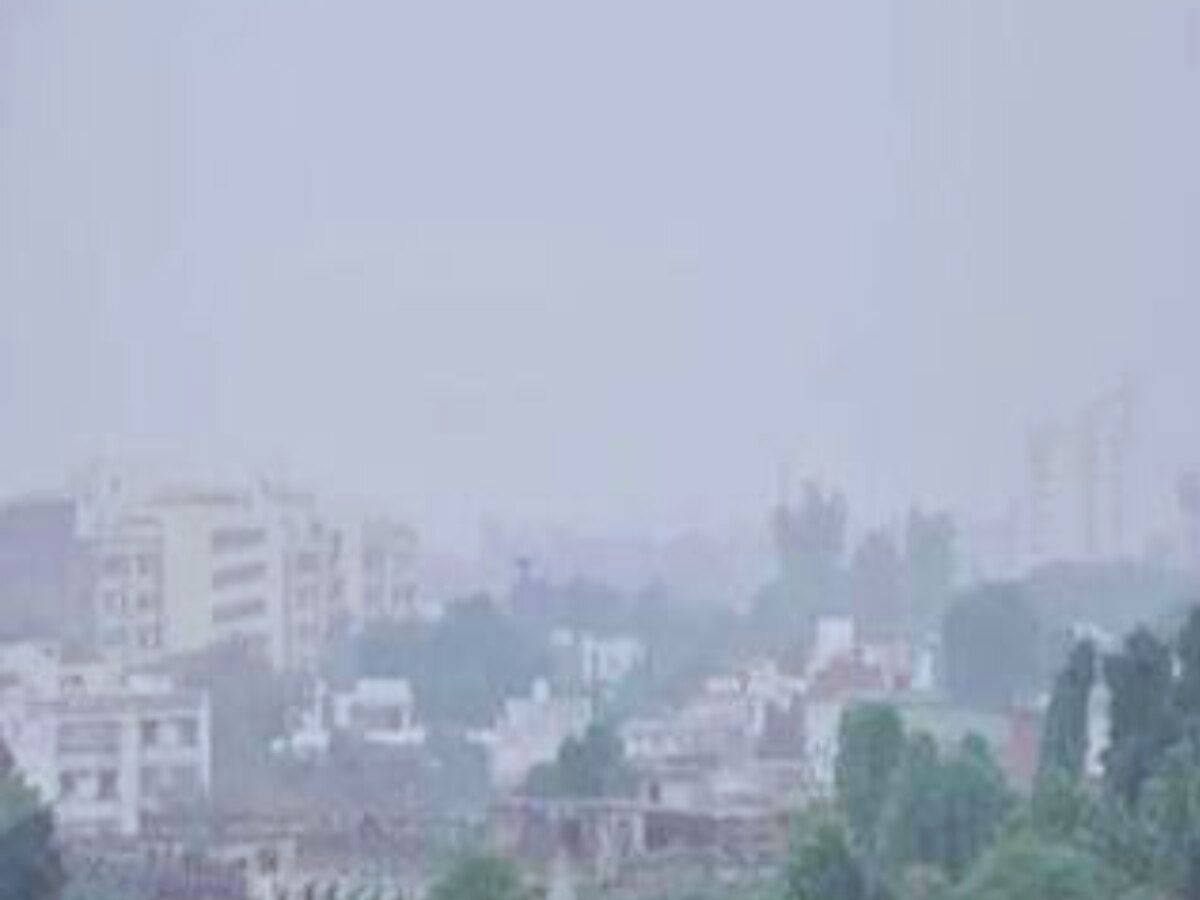 Todays Weather 24 November2025 7 - Photo Gallery